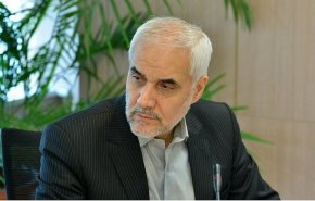 مهرعلیزاده: چمبره دولت بر اقتصاد، نفس اقتصاد را گرفته است