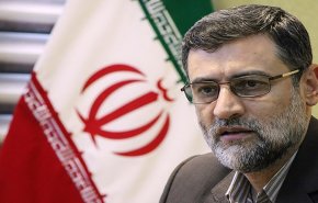 قاضی‌زاده‌هاشمی: برای مقابله با ساختارهای فساد زا برنامه جدی داریم