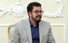 وبینار مجمع جهانی بیداری اسلامی درباره یمن برگزار شد