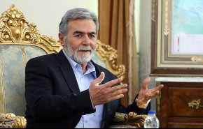 زیاد النخاله: همچنان در وسط میدان نبرد قرار داریم