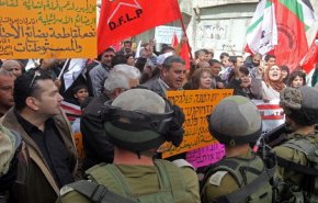 حملة فلسطينية لمقاطعة المنتجات الإسرائيلية تتحول لقضية رأي عام