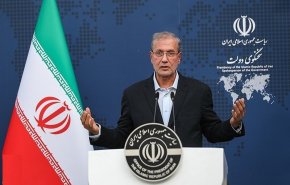 ربیعی: احیای حقوق ایران نیازمند دولتی با سرمایه اجتماعی بالاست