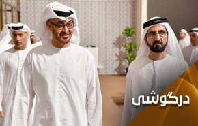 اظهارات تحریک‌آمیز وزیر اماراتی علیه حماس و حزب‌الله.. فرزندان زاید به ناکجاآباد می‌روند