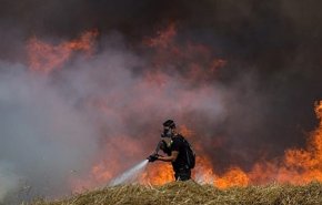 تصمیم مقاومت فلسطین برای تشدید فشار میدانی در مرز غزه
