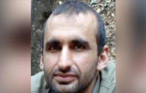 کشته شدن عضو ارشد «پ‌ک‌ک» توسط ماموران امنیتی ترکیه در شمال عراق
