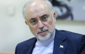 صالحی: تلاش ما تولید ۲۰ تا ۳۰ هزار مگاوات برق هسته‌ای است