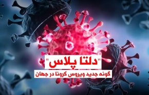 ویدئوگرافیک | 