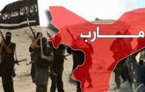 رو شدن سند دیگری از همکاری مثلث آمریکا، ائتلاف سعودی و القاعده در مأرب