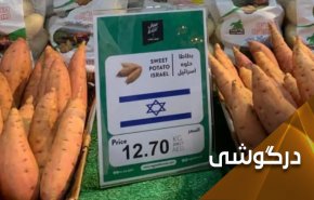 امارات و حمایت از اقتصاد رژیم صهیونیستی!