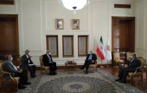 دیدار رئیس موسسه تولید واکسن فینلای کوبا با ظریف
