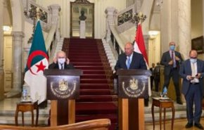 وزیر خارجه مصر: از لبنان برای خروج از بحران کنونی حمایت می‌کنیم