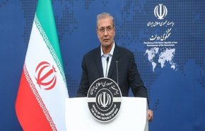 ربيعي: ايران واجهت بمفردها القوى العالمية وأرغمتها على التعامل معها