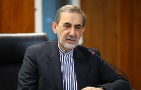ولایتی با رهبر شیعیان ترکیه دیدار کرد