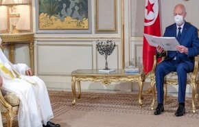 دیدار مشاور رئیس امارات با رئیس جمهور تونس