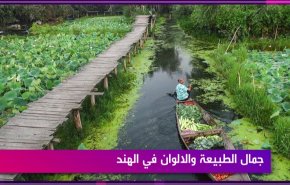 جمال الطبيعة والالوان في الهند