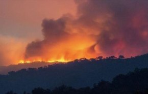 کشته شدن 42 نفر بر اثر آتش‌‎سوزی جنگل ها در الجزایر
