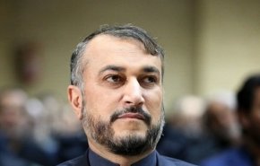 واکنش امیر عبدالهیان به اقدام سفرای روسیه و انگلیس در تهران