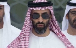 منظمة حقوقية إماراتية تعتزم مقاضاة طحنون بن زايد و شركات تابعة له
