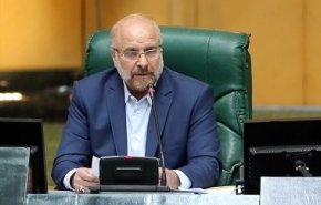 پاسخ قالیباف به نماینده بندر عباس/ معیار انتخاب وزرا از سوی رییس‌جمهوری شایستگی و تخصص بوده است