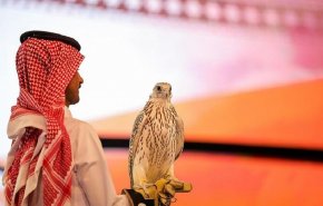 بيع صقرين بنحو 38 ألف دولار في مزاد دولي بالرياض