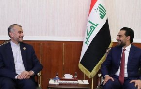 دیدار امیرعبداللهیان با رئیس پارلمان عراق