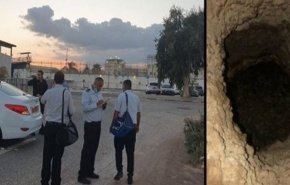 النخاله: امروز روز شادی بزرگ است