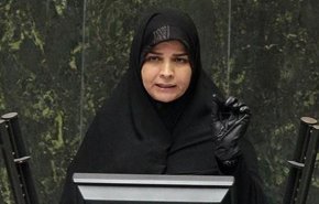 جزئیات سفر هیأت‌ پارلمانی ایران به اتریش/ رئیس مجلس اتریش‌: توفیق ایران در تولید واکسن کرونا قابل تقدیر است