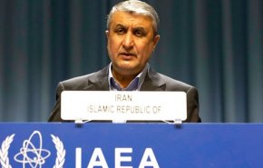 محمد اسلامی: آمریکا فوراً تحریم‌ها را لغو کند و به برجام برگردد