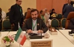 آمادگی ایران برای به اشتراک گذاشتن تجارب مقابله با تحریم‌های یکجانبه به اعضای دی-هشت
