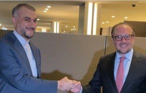 وزير خارجية النمسا: لا نضع سقفا للارتقاء بالعلاقات مع ايران