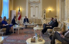رایزنی اسلامی و دبیرکل وزارت خارجه اتریش درباره آخرین تحولات برجام