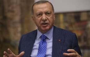 شاهد: أردوغان يطالع الصحف مع قطة حفيدته!