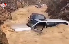 شاهد.. شاهين، يبلع عمان 