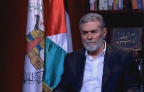 زیاد النخاله: هماهنگی بالایی میان طرف‌های محور مقاومت برای مقابله با توطئه‌های دشمنان وجود دارد
