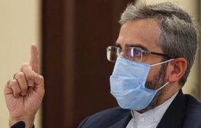 باقری: مسکو و پکن از موضع ایران در مذاکره نتیجه محور حمایت می کنند/ گفتگوی های ما با کشورهای گروه ۱+۴ است