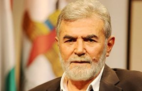 دبیرکل جنبش جهاد اسلامی فلسطین با رئیس اطلاعات مصر دیدار کرد