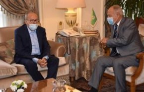 ابوالغیط: قضیه اسرای فلسطین بیانگر ماهیت غیرانسانی رژیم اشغالگر است
