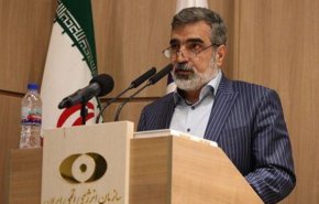 کمالوندی: ذخایر اورانیوم ۲۰ درصد از ۲۱۰ کیلو عبور کرد/ تولید ۲۵ کیلو اورانیوم ۶۰ درصد