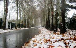 در این ۱۵ استان برف و باران می‌بارد