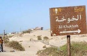 القوات اليمنية تقترب من مركز مديرية الخوخة في الحديدة 