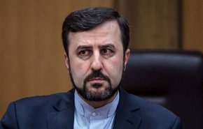 دبیر ستاد حقوق بشر: خواننده آمریکایی 