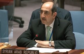 دمشق خواستار ضمانت عدم دستیابی تروریست‌ها در سوریه به تسلیحات شد

