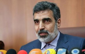 نظر کمالوندی درباره سفر گروسی به تهران 

