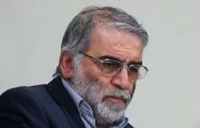 نخستین سالگرد شهید فخری زاده برگزار شد
