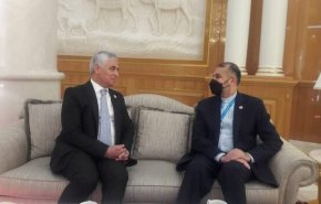 «امیرعبداللهیان» با دبیرکل سازمان همکاری اقتصادی اکو دیدار کرد