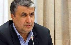 اسلامی: مذاکرات اخیر با گروسی سازنده بود