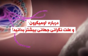 ویدئوگرافیک | درباره 