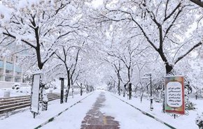 بارش برف و باران در راه تهران
