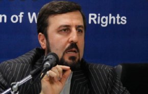 غریب آبادی: زندانی دوتابعیتی نداریم
