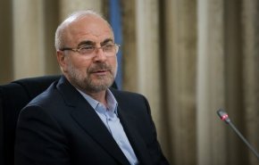وحدت و انسجام، درمانِ دردهایِ امت اسلامی است/ تشکیل دولت فراگیر و مشارکتی شرط ثبات در افغانستان
